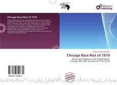 Chicago Race Riot of 1919 kitap kapağı
