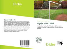 Portada del libro de Elysée Irié Bi Séhi