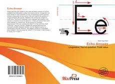 Bookcover of Echo Answer