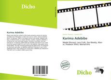 Borítókép a  Karima Adebibe - hoz