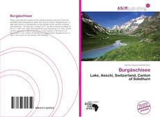 Capa do livro de Burgäschisee 