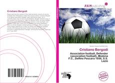 Capa do livro de Cristiano Bergodi 