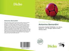 Portada del libro de Antonino Bernardini