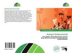 Adolph Goldschmidt的封面
