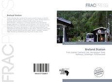 Capa do livro de Breland Station 