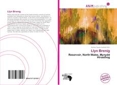 Capa do livro de Llyn Brenig 