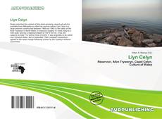 Buchcover von Llyn Celyn