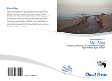 Bookcover of Llyn Alaw