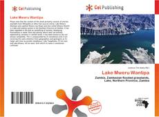 Capa do livro de Lake Mweru Wantipa 