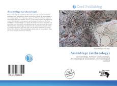Bookcover of Assemblage (archaeology)