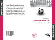 Buchcover von Liaoning Whowin F.C.