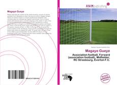 Capa do livro de Magaye Gueye 