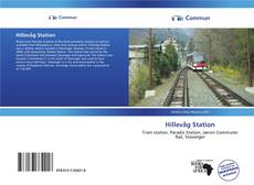 Capa do livro de Hillevåg Station 