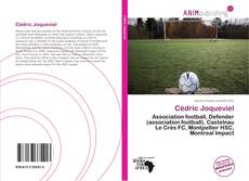 Cédric Joqueviel kitap kapağı