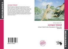 Buchcover von Juniper Island