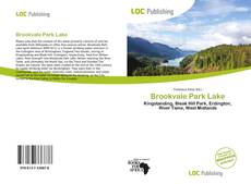 Capa do livro de Brookvale Park Lake 