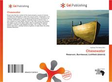 Capa do livro de Chasewater 