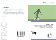 Copertina di Délis Ahou