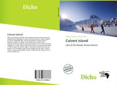 Capa do livro de Calvert Island 