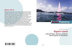 Capa do livro de Bigwin Island 