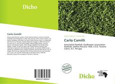 Carlo Camilli的封面