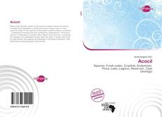 Bookcover of Acocil