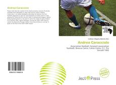 Andrea Caracciolo kitap kapağı