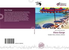 Copertina di Elora Gorge