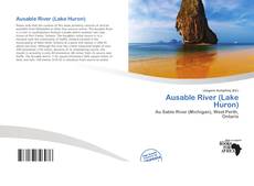 Обложка Ausable River (Lake Huron)