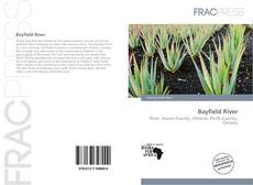 Bookcover of Bayfield River