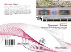 Couverture de Bjørnevatn Station