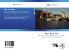 Pont de Bonpas kitap kapağı