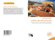 Bookcover of Lutter am Barenberge