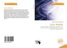 Bookcover of Julio Mañón