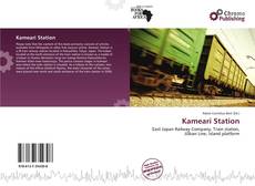 Buchcover von Kameari Station