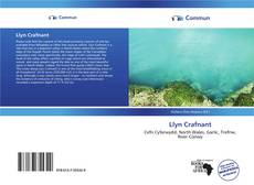 Capa do livro de Llyn Crafnant 