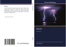 Buchcover von Sturm