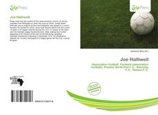 Bookcover of Joe Halliwell