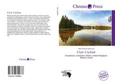 Bookcover of Llyn Llydaw