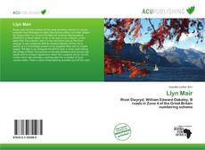 Bookcover of Llyn Mair