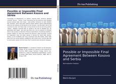 Possible or Impossible Final Agreement Between Kosovo and Serbia kitap kapağı