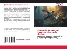 Buchcover von Ensamble de aves del bosque en Loma de Gabino