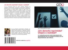 Buchcover von ¿Un derecho reprimido? Utopía o realidad?