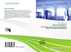 Portada del libro de Brevik Station