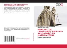 Borítókép a  PRINCIPIO DE LEGALIDAD Y PRINCIPIO ACUSATORIO EN MATERIA PENAL - hoz