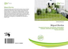 Bookcover of Miguel Boriba