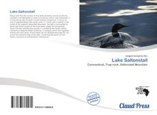 Bookcover of Lake Saltonstall