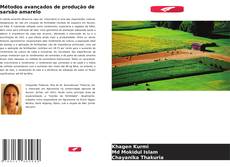 Capa do livro de Métodos avançados de produção de sarsão amarelo 