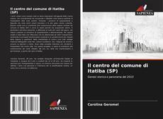 Buchcover von Il centro del comune di Itatiba (SP)