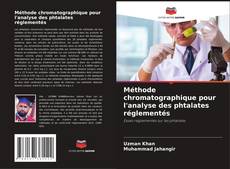 Méthode chromatographique pour l'analyse des phtalates réglementés的封面